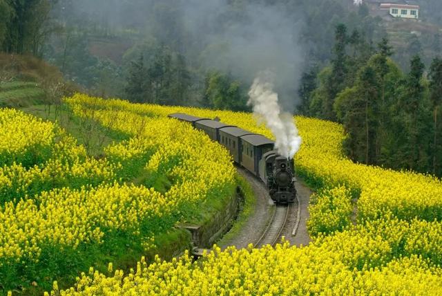 3月旅游的最佳地点，3月去什么地方旅游最好呢（三月份旅游一定要去的六个地方）