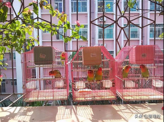 生活整理大师，一个从轻度囤积家庭中走出来的自我整理达人的生活日记