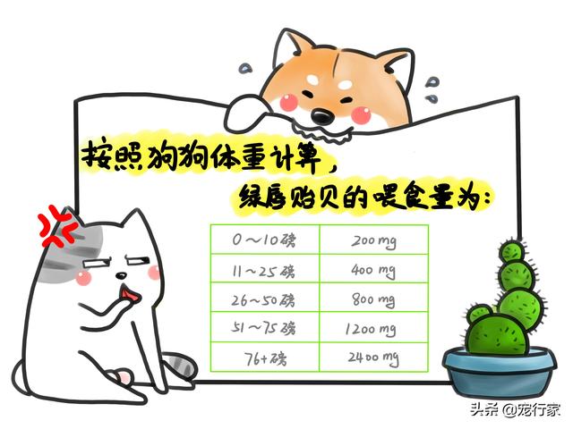 五爪贝饲养最全攻略，五爪贝终于实现人工繁殖啦