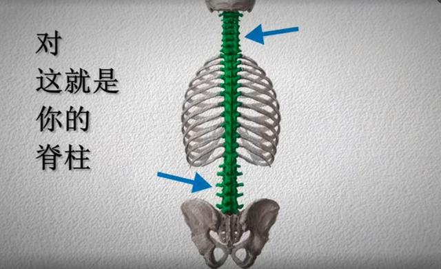 中国脊柱脊髓杂志，脊柱脊髓杂志中文（关于举办中国康复医学会第十五届脊柱脊髓专业委员会学术会议的通知）