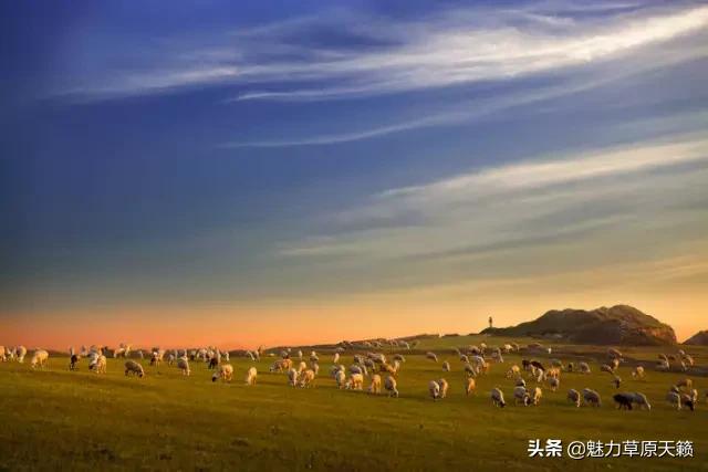 向草原奔跑揭秘蒙古族游牧文化，现已逐渐消失的走牧制度“敖特尔”