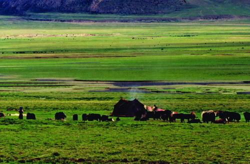 美国中部大平原，美国平原面积（你知道美国陆地海拔最高和最低的地方）