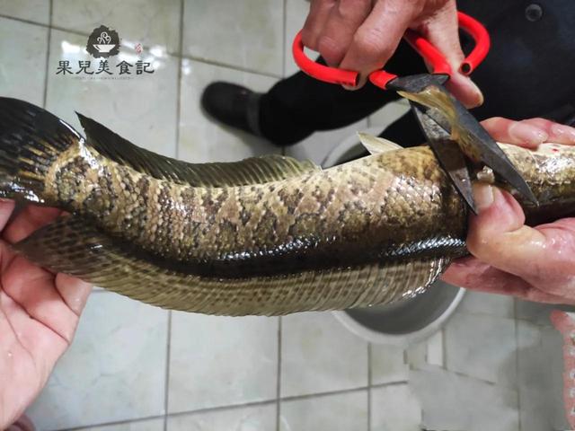 炒鱼片的技巧和方法，不要直接下锅炒