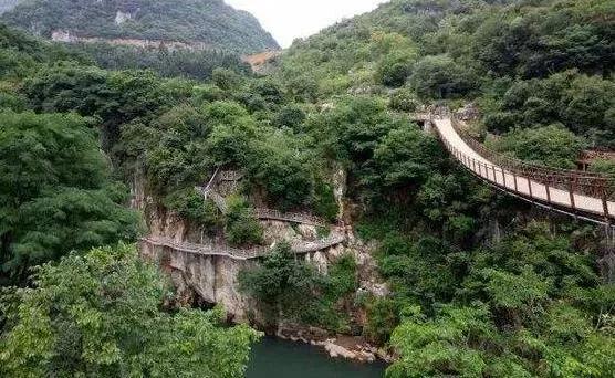 遇见最美的小镇，去针灸小镇赴一场玉兰之约~