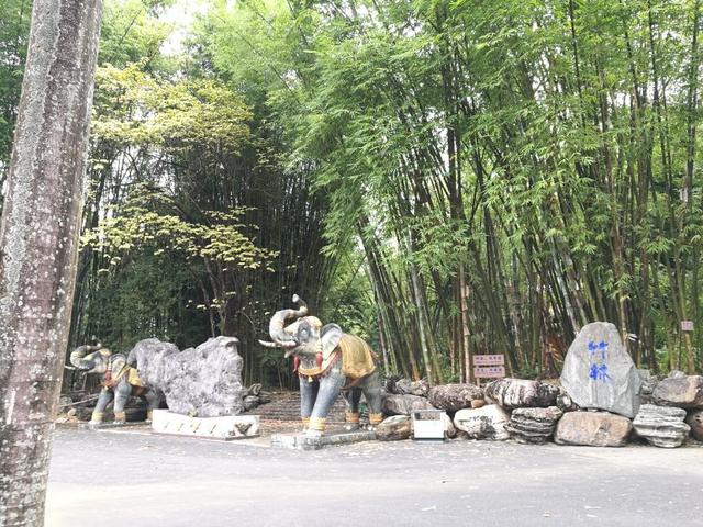 勐巴娜西珍奇园，一个美丽的地方云南德宏芒市（到芒市必玩的一个地方）