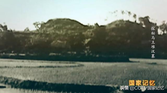 马王堆汉墓古尸，马王堆汉墓女尸刚出土（长沙马王堆女尸“全面体检”）