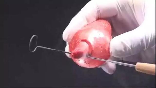 米其林三星龙吟料理，去东京吃这家神级米其林三星法餐厅吧
