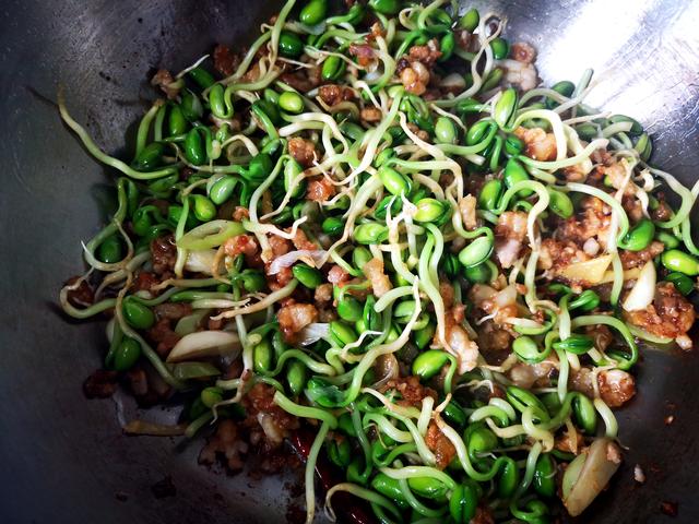 如何生绿豆芽和黄豆芽，不用土壤不用肥料