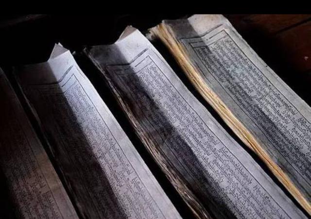 八种常见有毒花，这15种大毒花