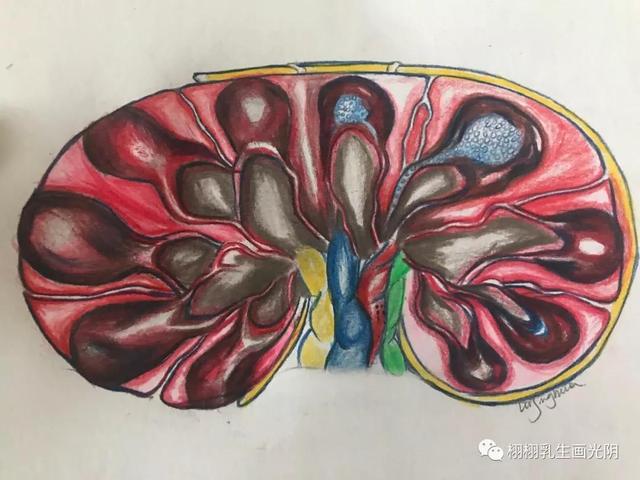 肥胖淋巴隐痛(肥胖会引起淋巴肿大)