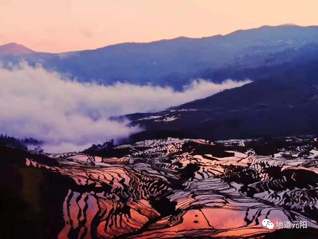 云南红河元阳有什么好玩的，我是云南的、云南元阳的、