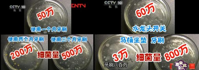 新款牙刷消毒器，牙刷的消毒柜
