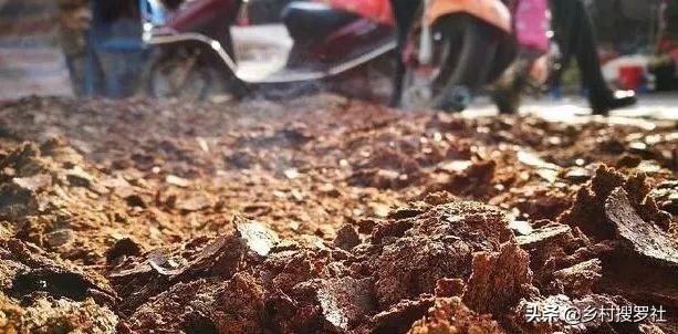 兰花用什么肥料最好，兰花最好施什么肥（3大元素不能少）