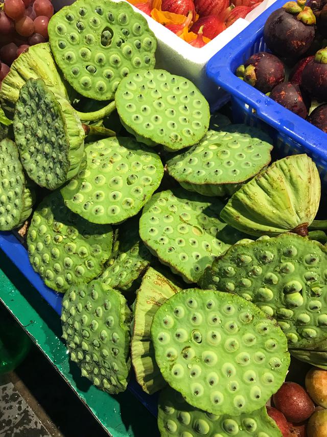 新鲜的莲子有哪些做法，这几款莲子食疗方可以常吃