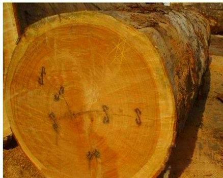 家具木材档次排名，12种实木家具木材（实木家具十大名贵木材）