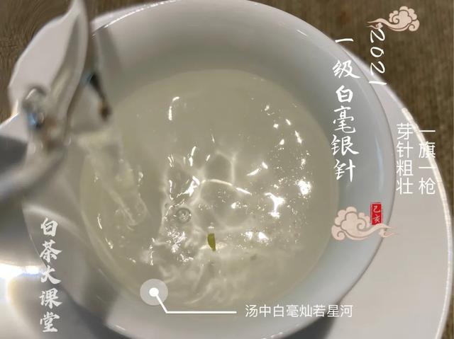 白茶和绿茶有什么区别，白茶和绿茶有什么不同（白茶和黑茶有什么区别）