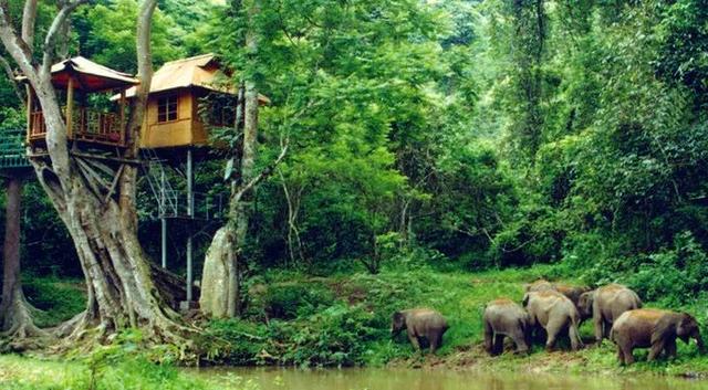 昆明到西双版纳最佳旅游路线，昆明坐火车去西双版纳3.5小时到达