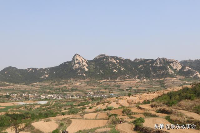张庄真实历史故事，溯源张庄村史