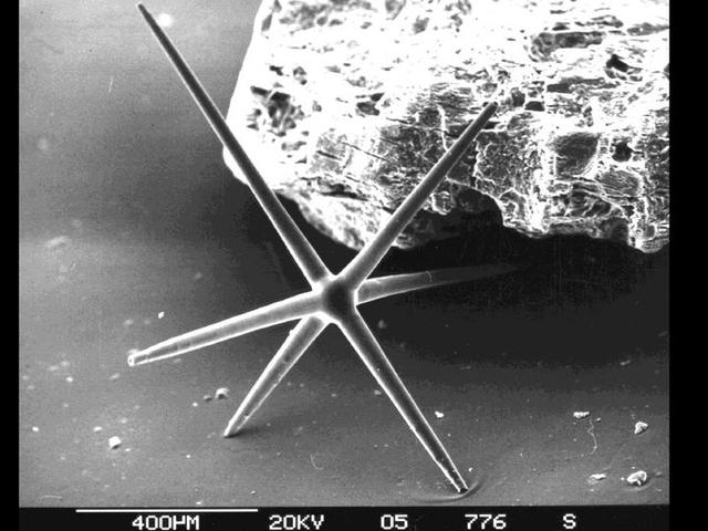 如果这个世界上真的存在硅基生物，科学家推测硅基生命