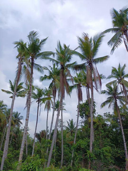 为什么很多人去印尼打工，记录印尼打工生活点滴