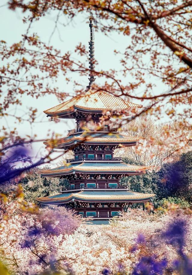 3月旅游的最佳地点，3月去什么地方旅游最好呢（三月份旅游一定要去的六个地方）