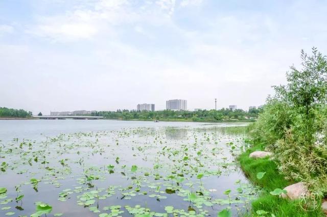 郑州周边免费景点，郑州最近免费旅游景点大全（不出郑州的8个赏花遛娃地）