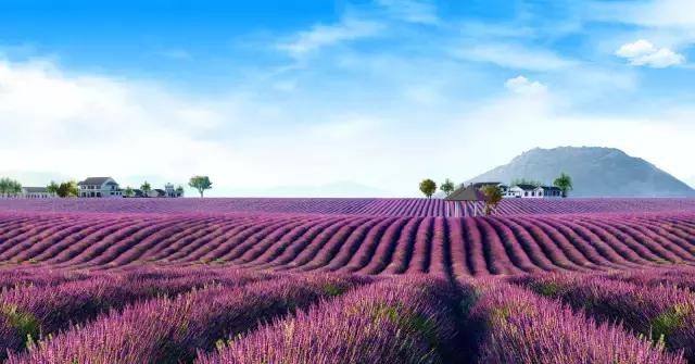 龙溪园水上乐园门票，沈阳周边旅游二日游