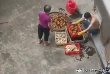 十年陈皮是怎么做的，曝光百年陈皮制作