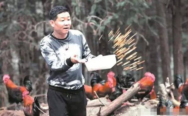 康熙微服私访记演员都是光头吗，康熙微服私访记演员近况
