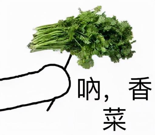 香菜的英语怎么说，不加香菜用英文怎么说