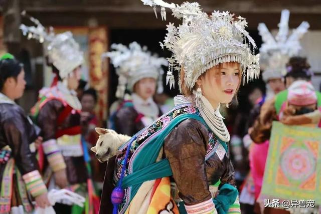 少数民族抬狗节，全世界最宠狗的民族