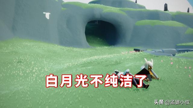 光遇当玩家看见白鸟，光遇什么是白鸟现象