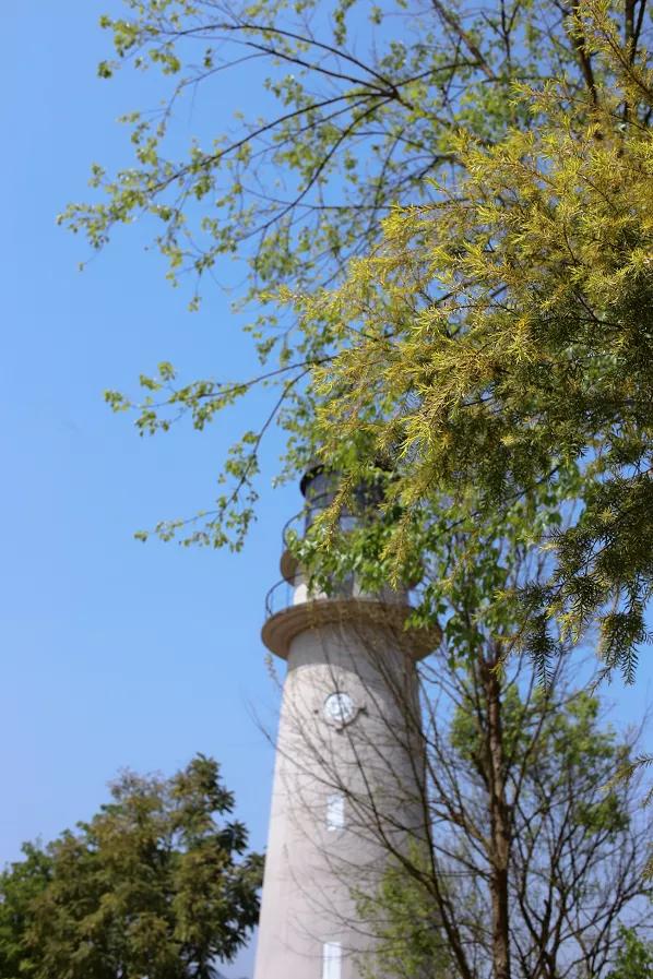 南湖多彩植物园，这个季节重庆哪些地方旅游最适合（邀你来看“漫山红”）