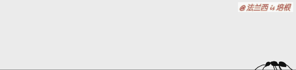 蚂蚁跟蜘蛛是昆虫吗，你能分辨吗这是蚂蚁