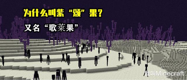 我的世界紫颂果生长判定，我的世界紫颂果