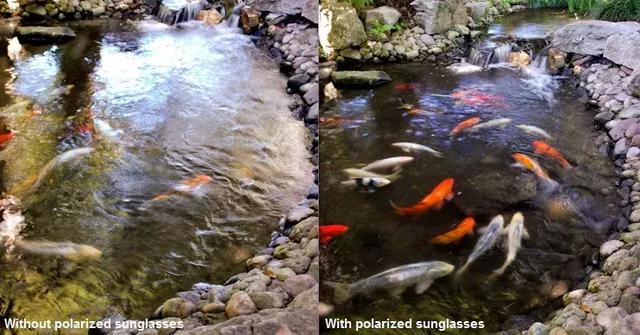 夏天墨镜选防紫外线还是偏光，太阳镜怎么选防晒又不伤眼