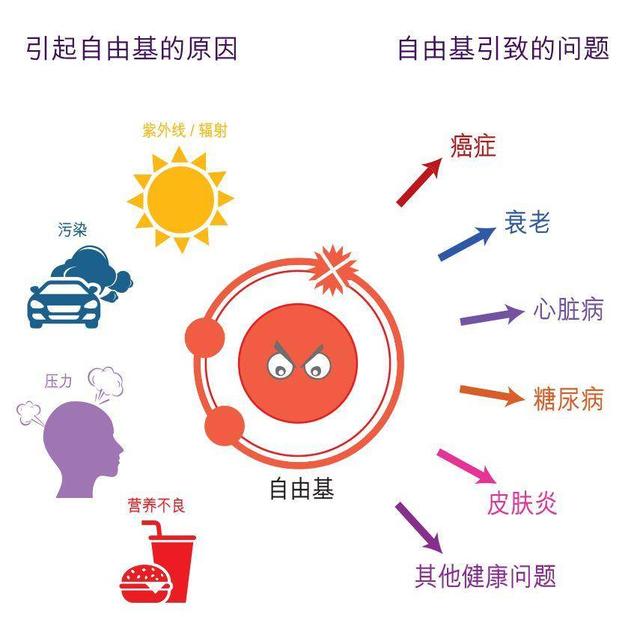 氧自由基形成的途径有哪些，自由基会影响黑色素的合成