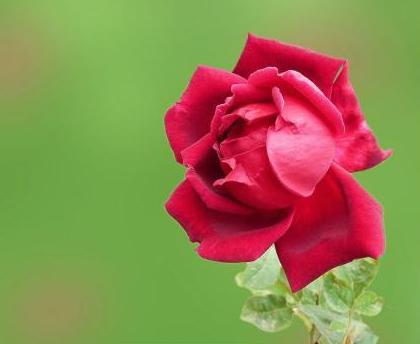 世上本无事庸人自扰之，古话说世上本无事庸人自扰之