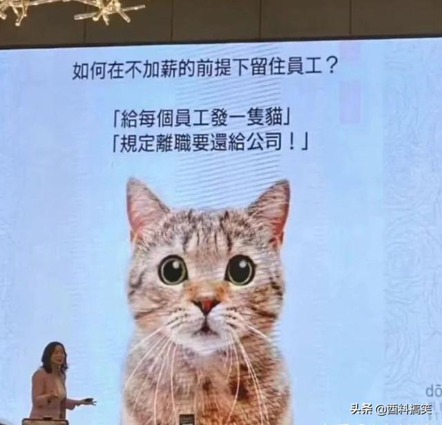 「因為耳機線纏在一起，兄弟白撿個妹子，這也太幸運了！」哈哈哈 搞笑整蠱 第9张