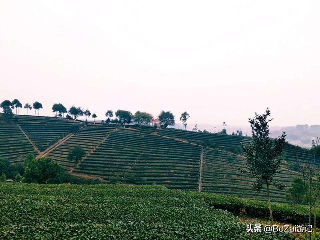 峨眉山乐山旅游，乐山攻略必去十大景点（ChatGPT五分钟整理一套乐山/峨眉山旅游攻略）