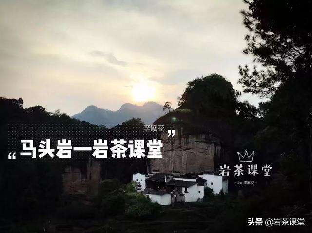 马头岩肉桂特点，既然三坑两涧里没有马头岩
