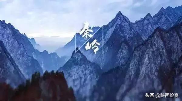 山獐与麂子区别，周至检察守护秦岭