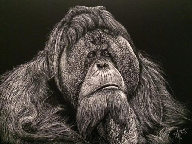 刮刮画作品大赏，刮画被他玩到极致
