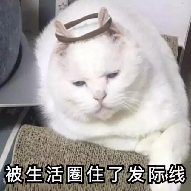 如何降低发际线，如何自然降低发际线（让你改头换面）