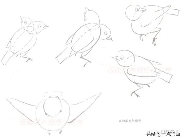 詹仁左写意鸟的画法，国画教程：写意仙鹤画法