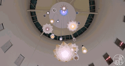 施华洛世奇摆件，施华洛世奇经典款天鹅摆件（这次又是什么绝美造型）