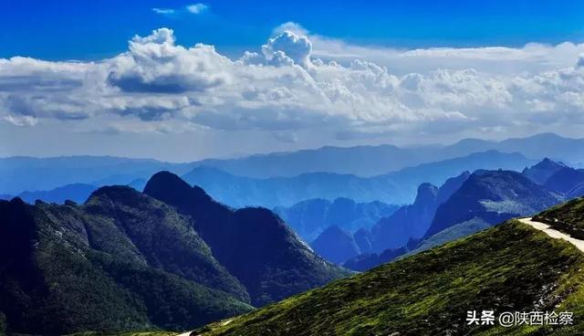 山獐与麂子区别，周至检察守护秦岭