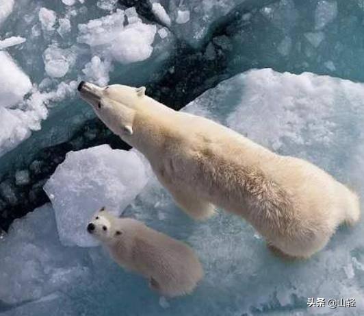 气候异常会导致末日，全球气候出现异常