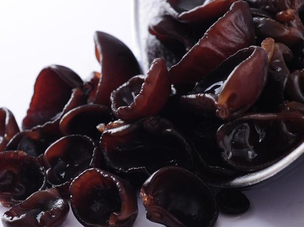 罕见的野生木耳，原来这木耳是长在这里