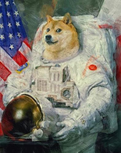 doge目瞪狗呆表情包，活在你表情包里的神烦狗Doge